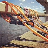 BUNGEES